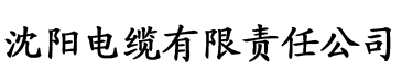 国产精品亚洲二区在线看电缆厂logo